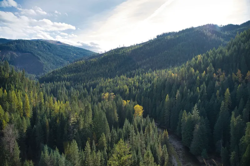 The Wilderness Area That Exists on a Technicality — and Thrives Because of It