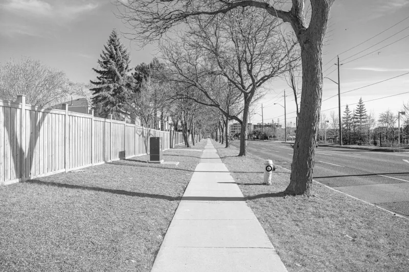 The Neighborhood Feud That Banned Presidential Pet Names Forever