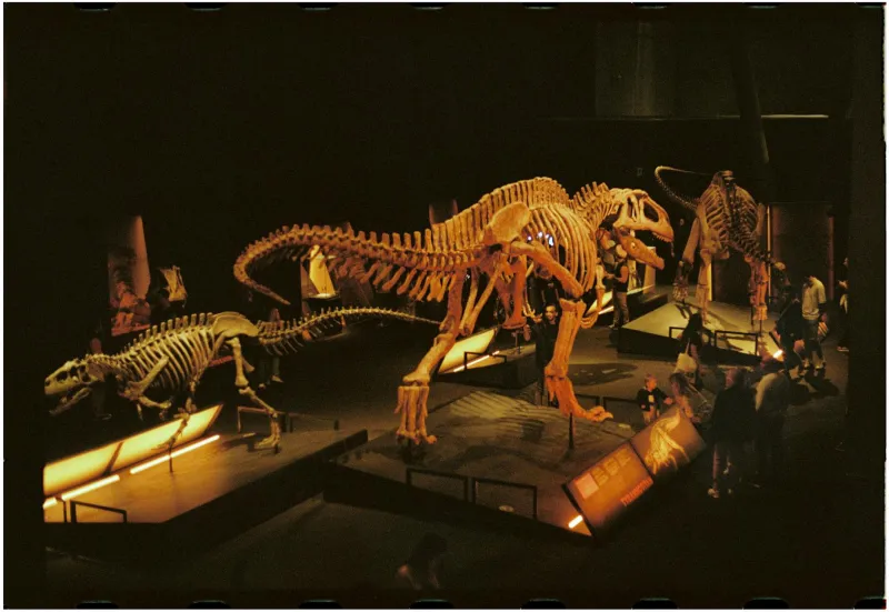 The Museum Heist That Uncovered a Century of Academic Lies