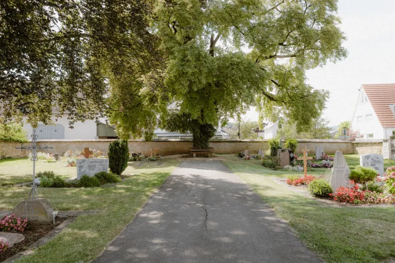 When a Town's Pet Cemetery Refused to Die — and Changed Property Law in the Process