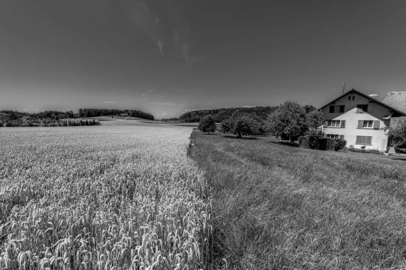 The Space Rock That Refused to Stay Gone: How One Meteorite Kept Returning to the Same Oregon Farm for Five Decades